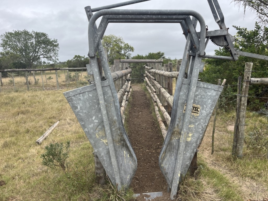 Commercial Property for Sale in Bathurst Rural Eastern Cape